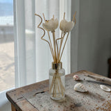 Reed Diffusers